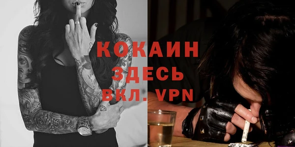 молекула духа Белокуриха