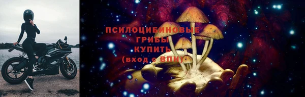 молекула духа Белокуриха